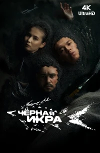 Черная икра/Қара бекіре